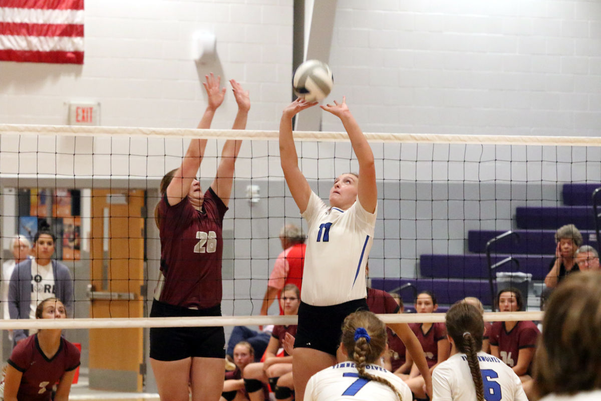 Hampton VB Tri (11).JPG